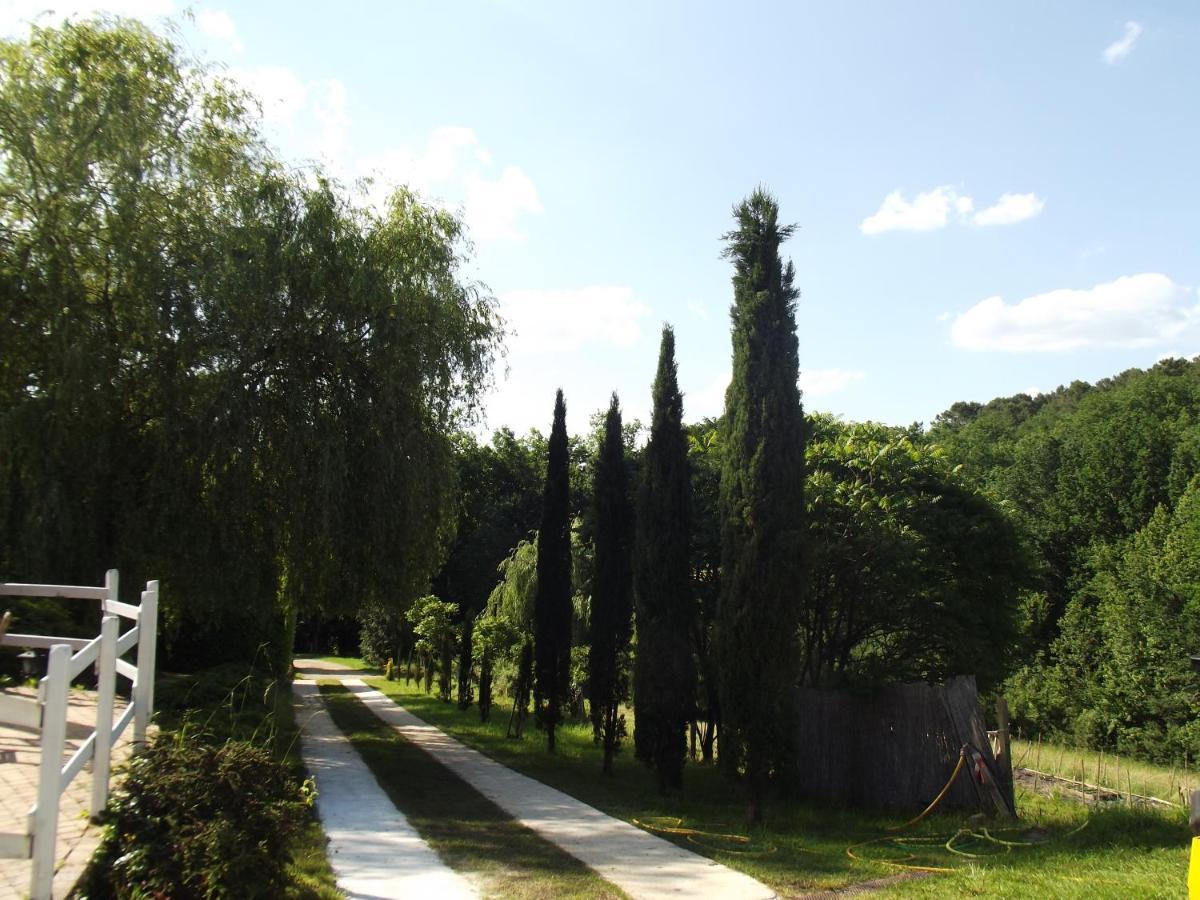 Les Rocailles De La Reine Bed & Breakfast Lamonzie-Montastruc Exterior photo